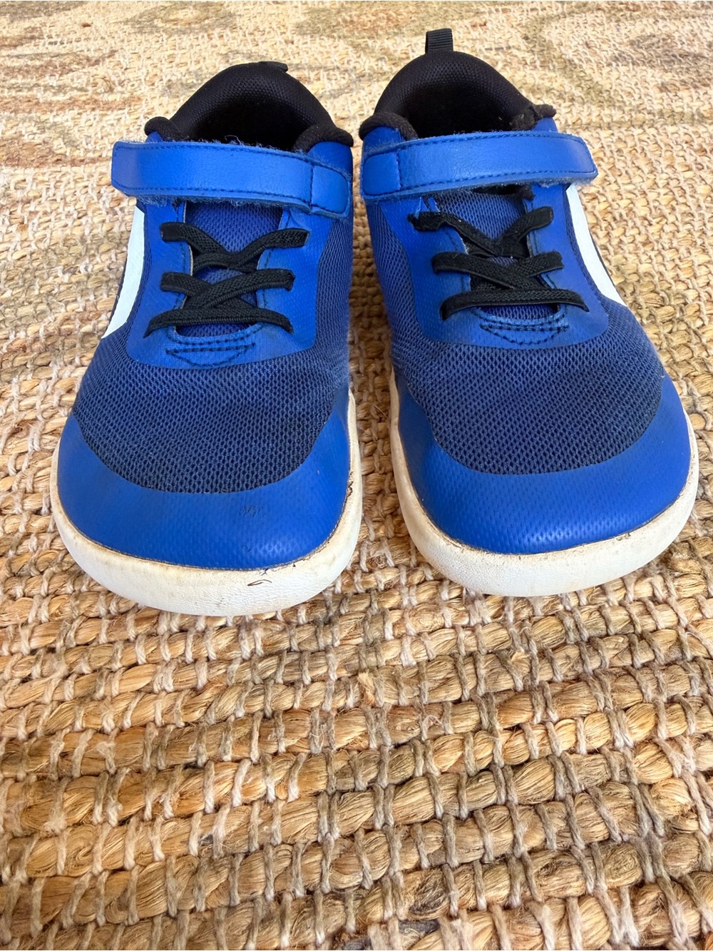Splay Dash True Blue